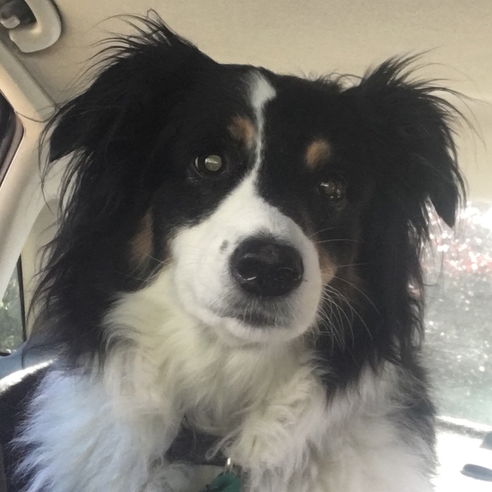 Meet your Posher, Rebeckah